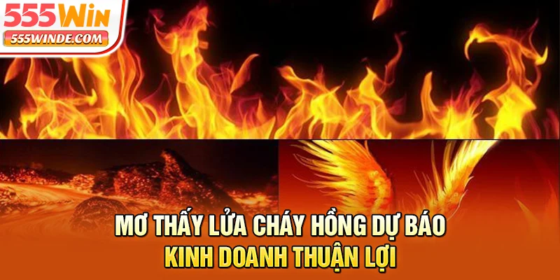 Mơ thấy lửa cháy hồng dự báo kinh doanh thuận lợi